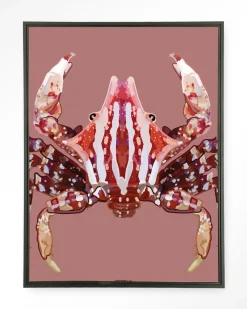 Wandkleed Villo Donus in maat en frame naar keuze