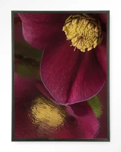 Wandkleed Weerspiegeling Van Een Kerstroos in maat en frame naar keuze