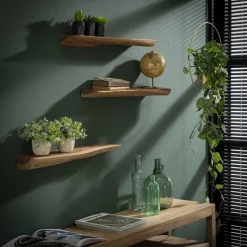 Wandplank Erica Boomstam, Set van 3 stuks
