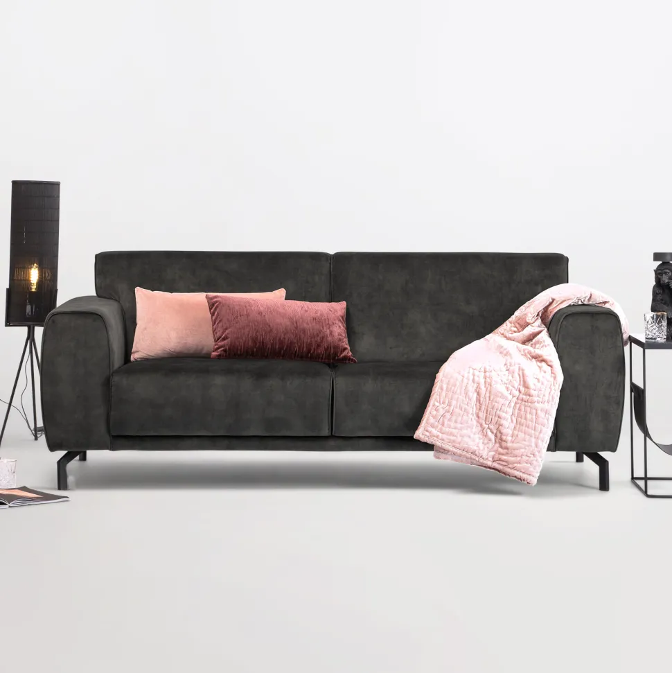 3-zits Bank Jill Velvet